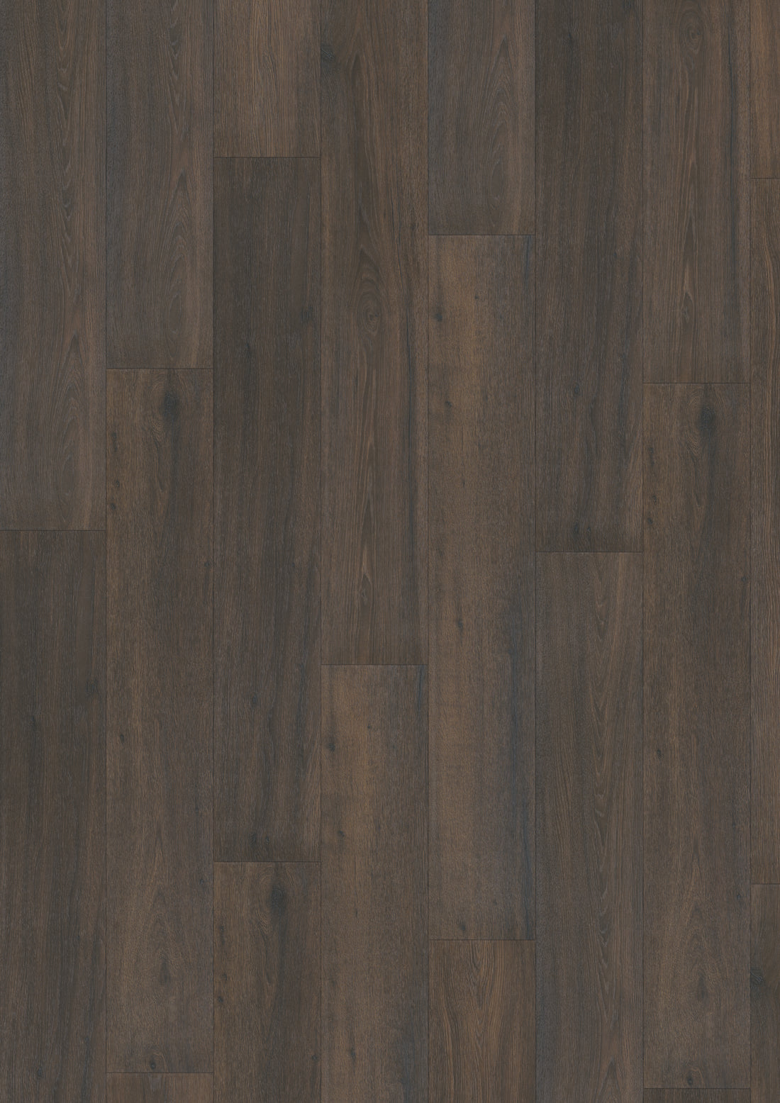 Hoomline Laminaat Elite Classic V4 TARA 6066