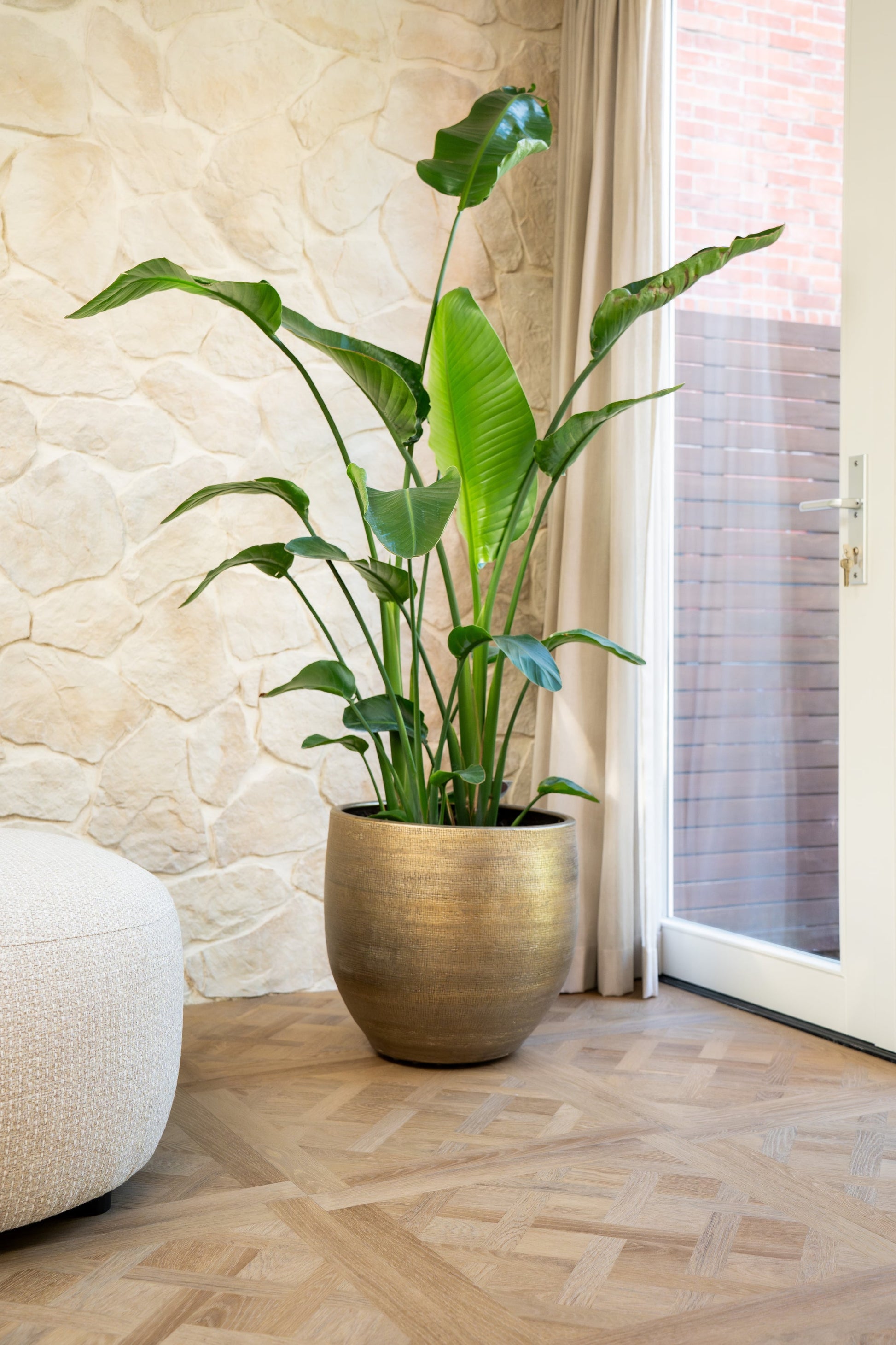 vtwonen Royal Sun Kissed Dryback Plak PVC - Kasteelvloer / Versailles tegels 61x61 cm
