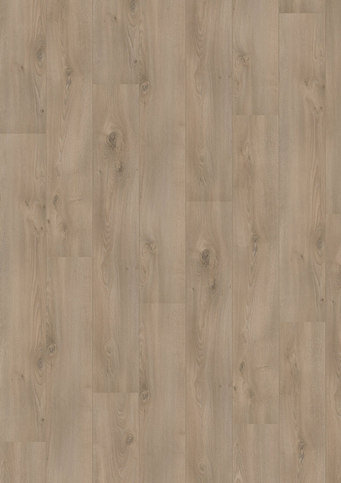 Hoomline Laminaat Royal V2 521067 CAMPANIA - Solza.nl