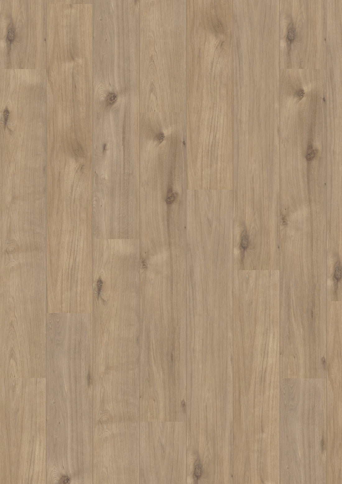 Hoomline Laminaat Royal V2 969 PIEMONTE - Solza.nl