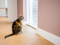 Vivafloors Walvisgraat 7870 Plak PVC - Solza.nl