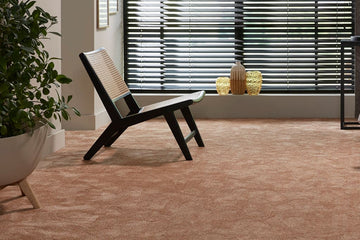 Hoe onderhoud je tapijt? - Solza.nl