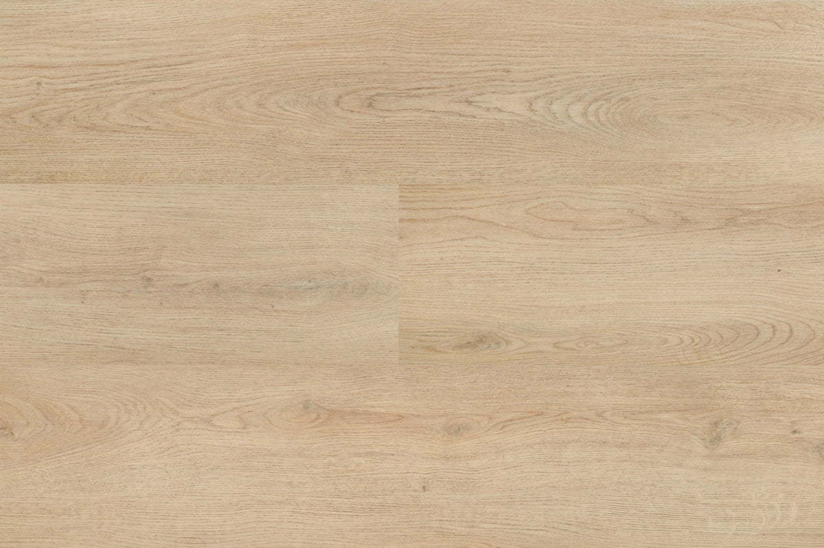 Hebeta Chablis XL Plank 55857 - Click PVC