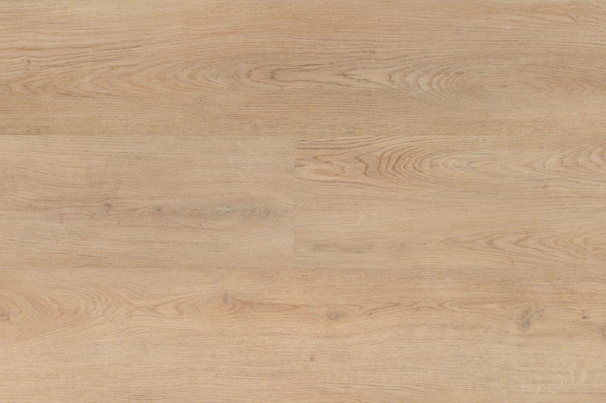 Hebeta Chablis XL Plank 55858 - Click PVC