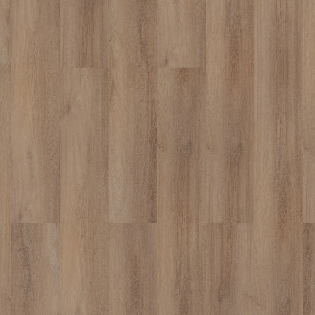 ROOM5 Superior Beige Rechte Stroken Click PVC 555-200102