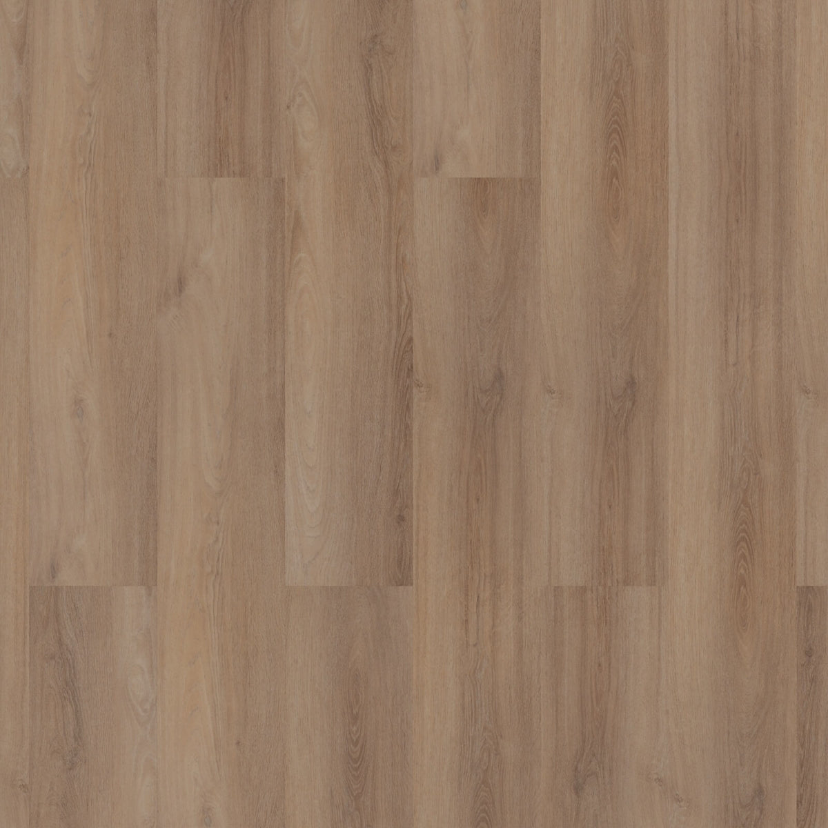 ROOM5 Superior Beige Rechte Stroken Click PVC 555-200102