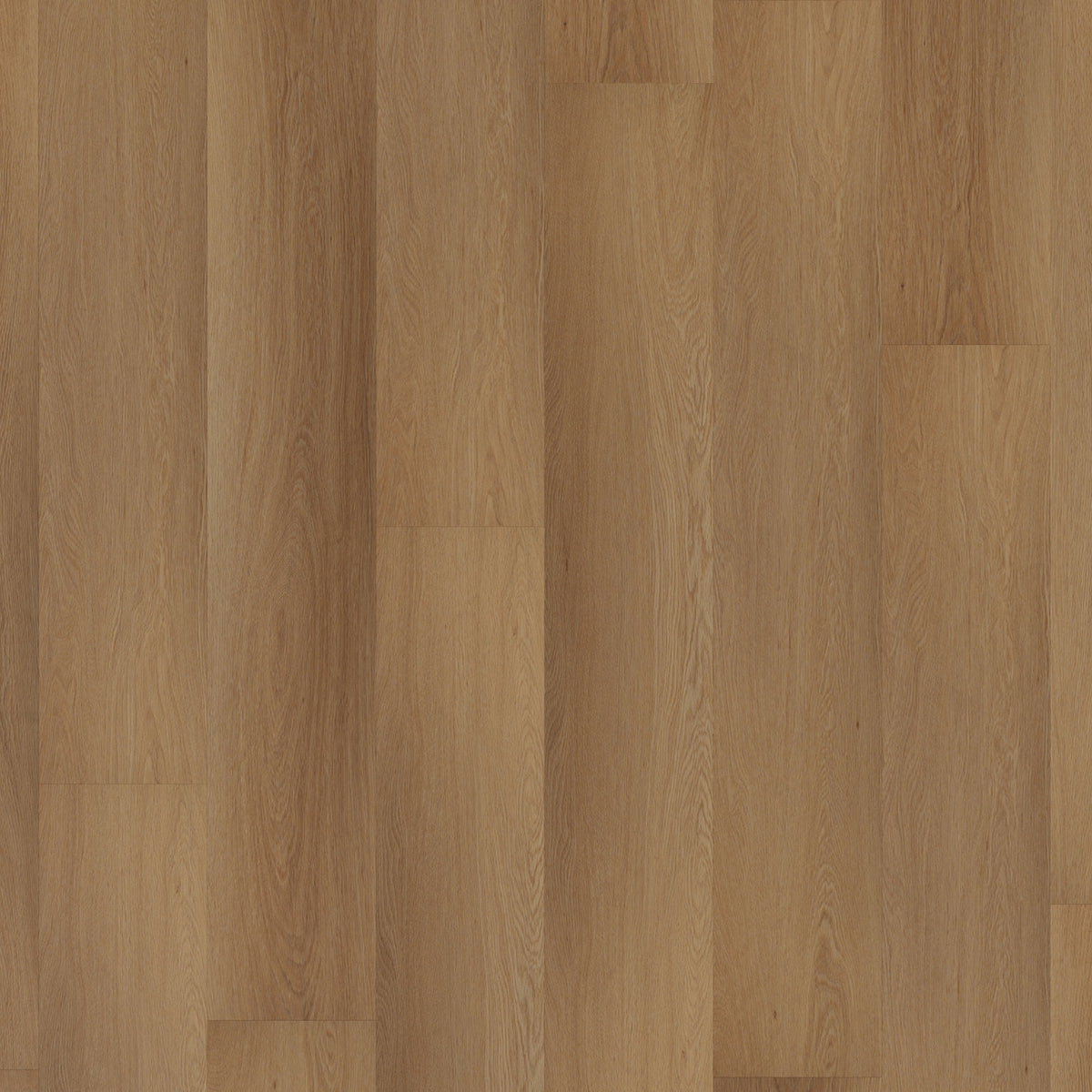ROOM5 Western Hemlock Rechte Stroken Click PVC 555-200106
