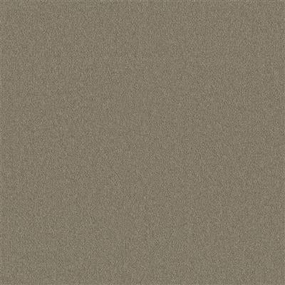 Ambiant Alaska Tapijt - 400cm breed - Per 100cm - Solza.nl