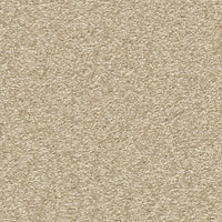 Ambiant Columbus Tapijt - 400cm breed - Per 100cm - Solza.nl