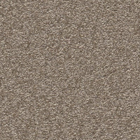 Ambiant Columbus Tapijt - 400cm breed - Per 100cm - Solza.nl