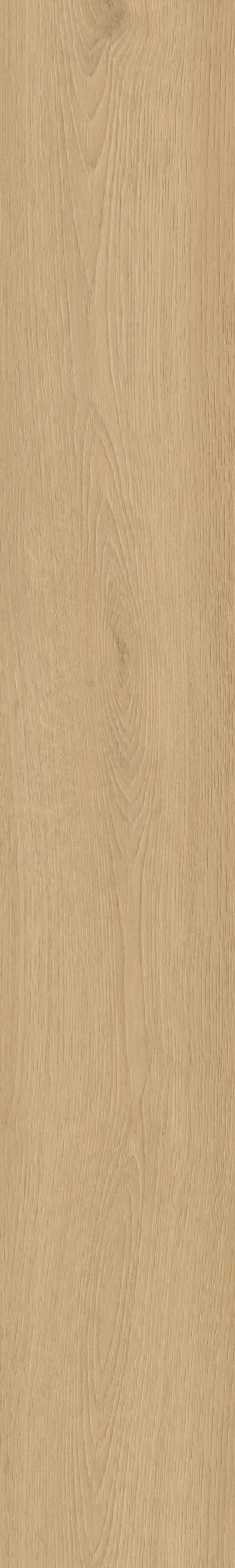 Belakos Borgo 300 Dryback PVC - Solza.nl