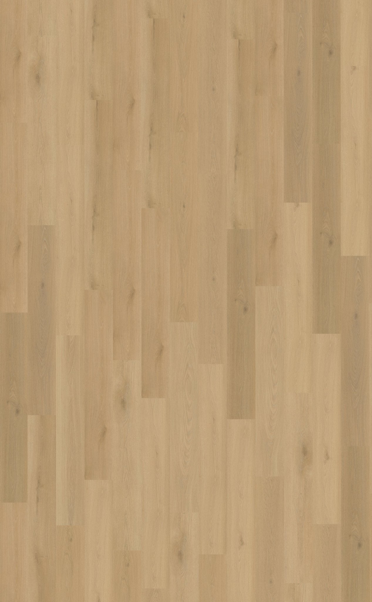 Belakos Borgo 300 Dryback PVC - Solza.nl