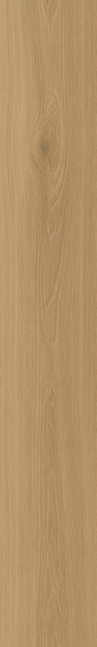 Belakos Borgo 320 Dryback PVC - Solza.nl
