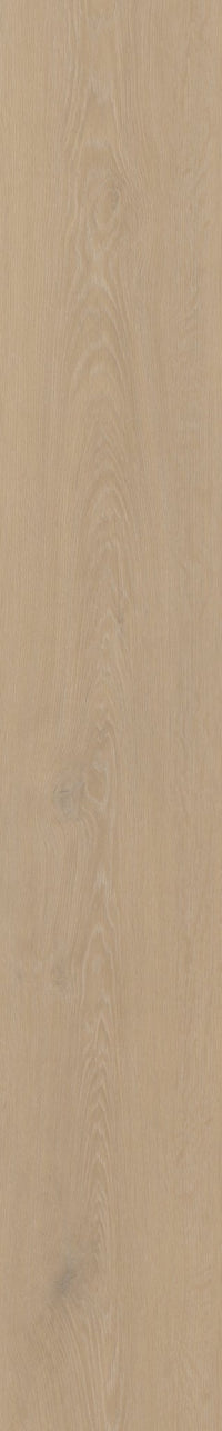 Belakos Cervo 200 Rigid Click PVC - Solza.nl