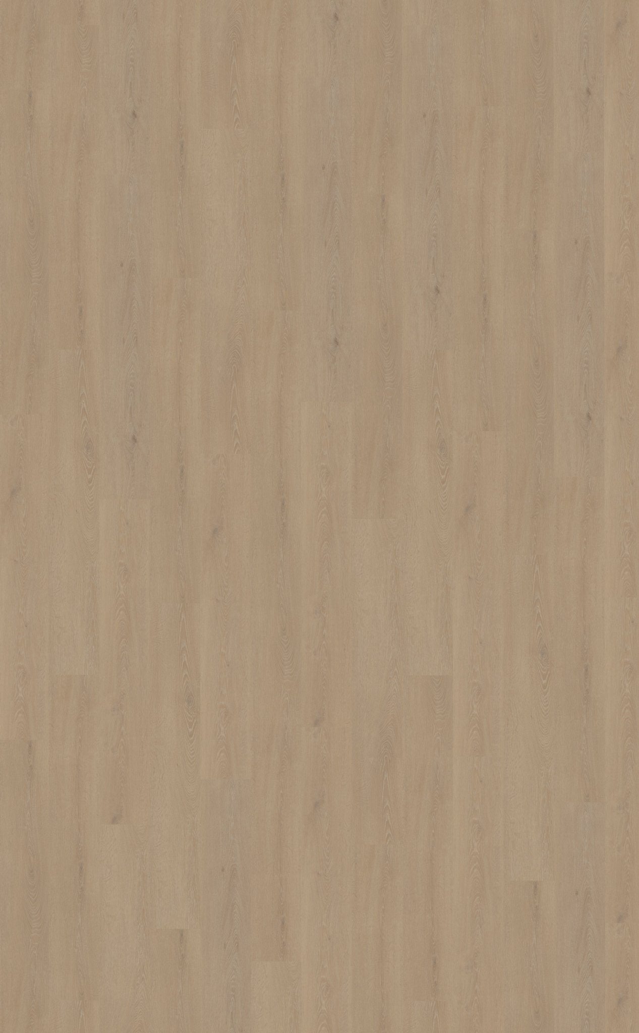 Belakos Cervo 210 Rigid Click PVC - Solza.nl