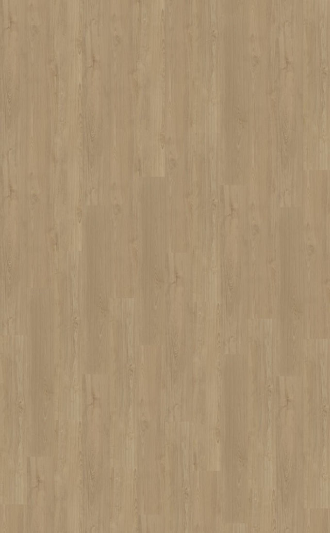Belakos Portico 540 Dryback PVC - Solza.nl