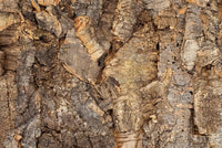 Floer Acoustic Cork Wall Panels Bark Untreated 90x60cm FLR-9040