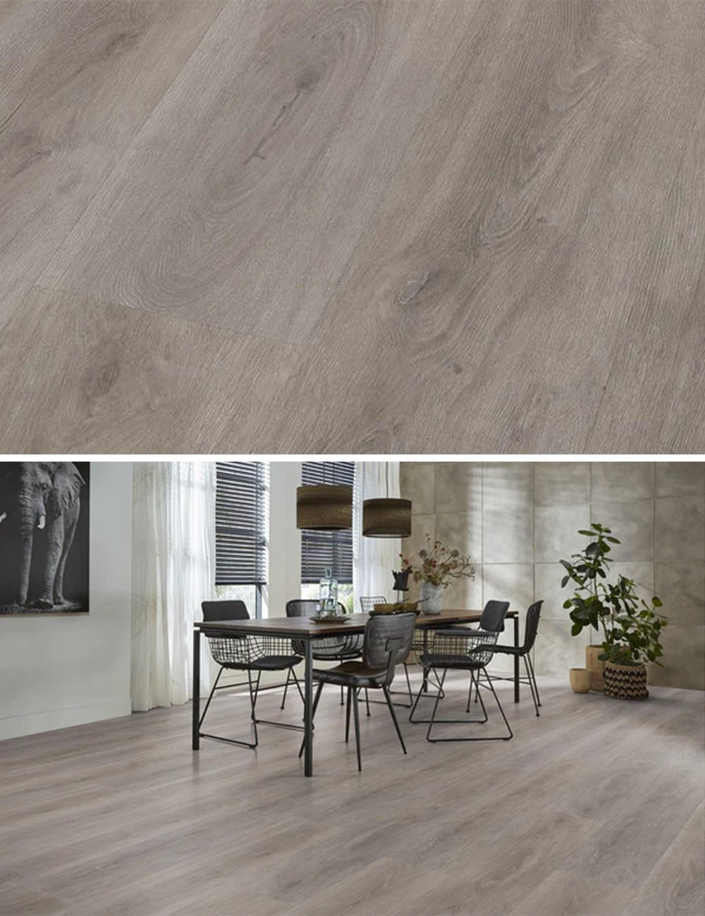 Ambiant Robusto Grey Oak Click PVC SRC