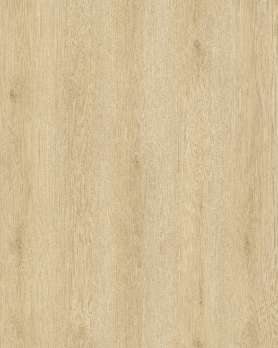 Hoomline City 50 Apeldoorn 6045 - Plak PVC - A10207 - Solza.nl