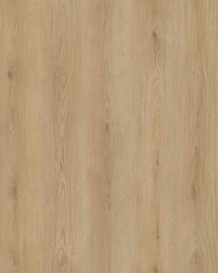 Hoomline City 50 Arnhem 6001 - Plak PVC - A10208 - Solza.nl