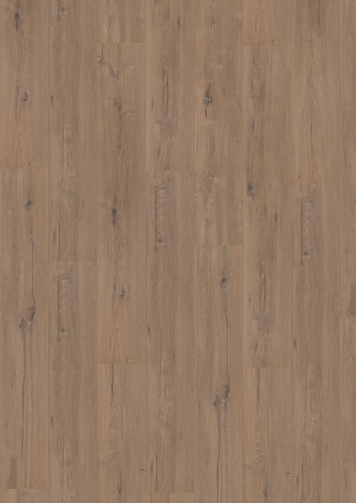 Hoomline Laminaat Royal V2 329022 TOSCANE EIK - Solza.nl