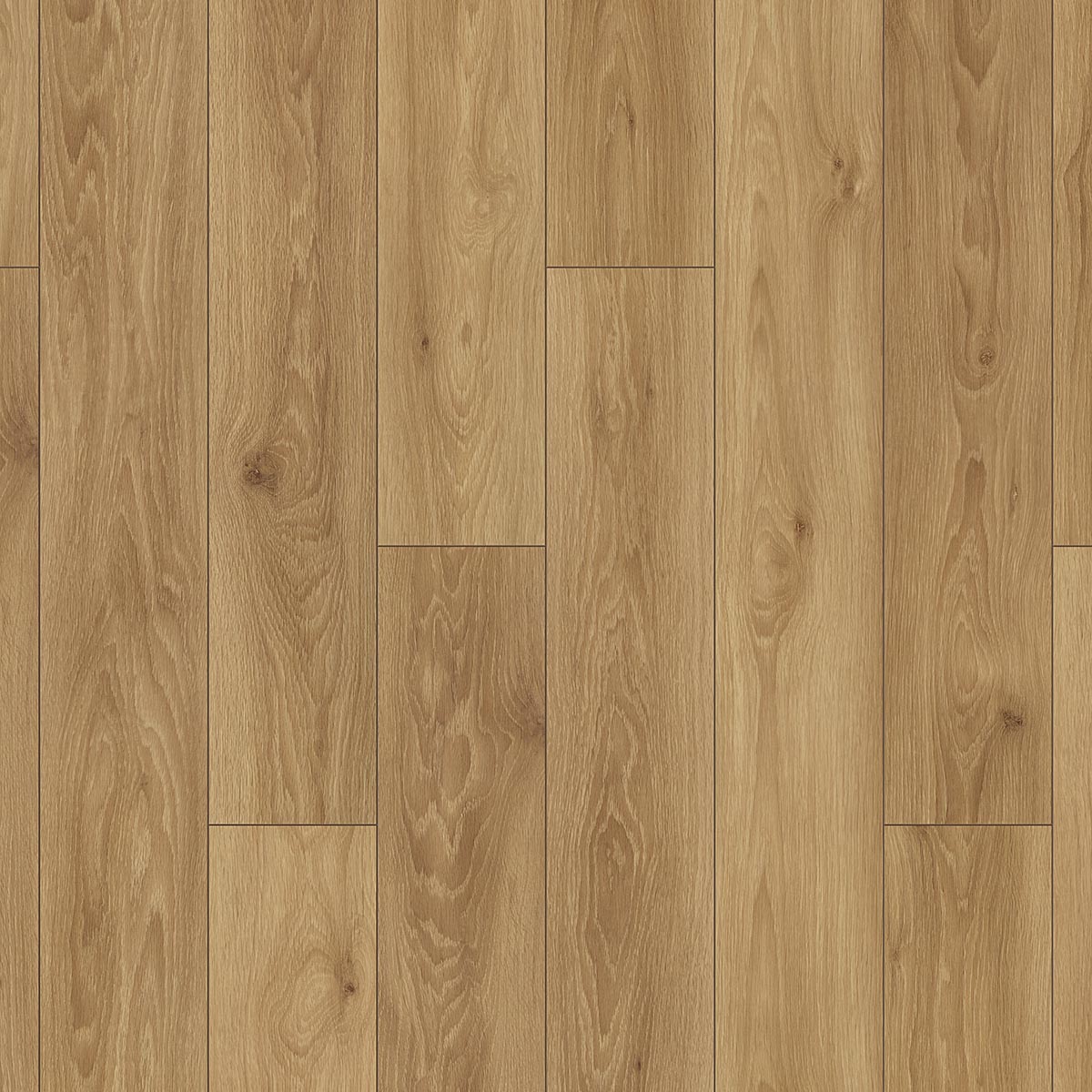 Otium Ritual Warm - Laminaat - 3443 - Solza.nl