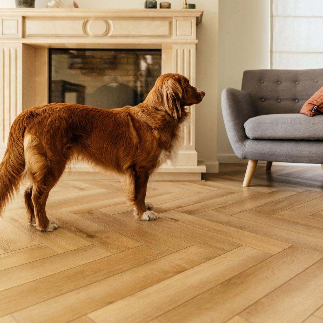 ParquetVinyl Yukon Mistral - Visgraat Click PVC - 123 x 615 mm - YUK-HB-2631-IB - Solza.nl