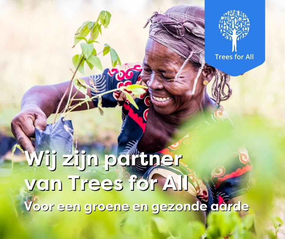 Vrijwilliger plant een jong boompje voor Trees for All