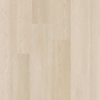 Therdex 15081 Premier Dryback PVC - Rechte stroken - Solza.nl