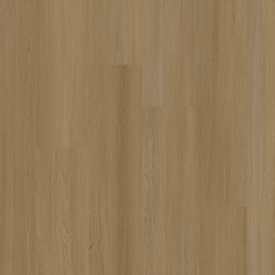 Therdex 15133 Select - Dryback PVC - Rechte Stroken - Solza.nl