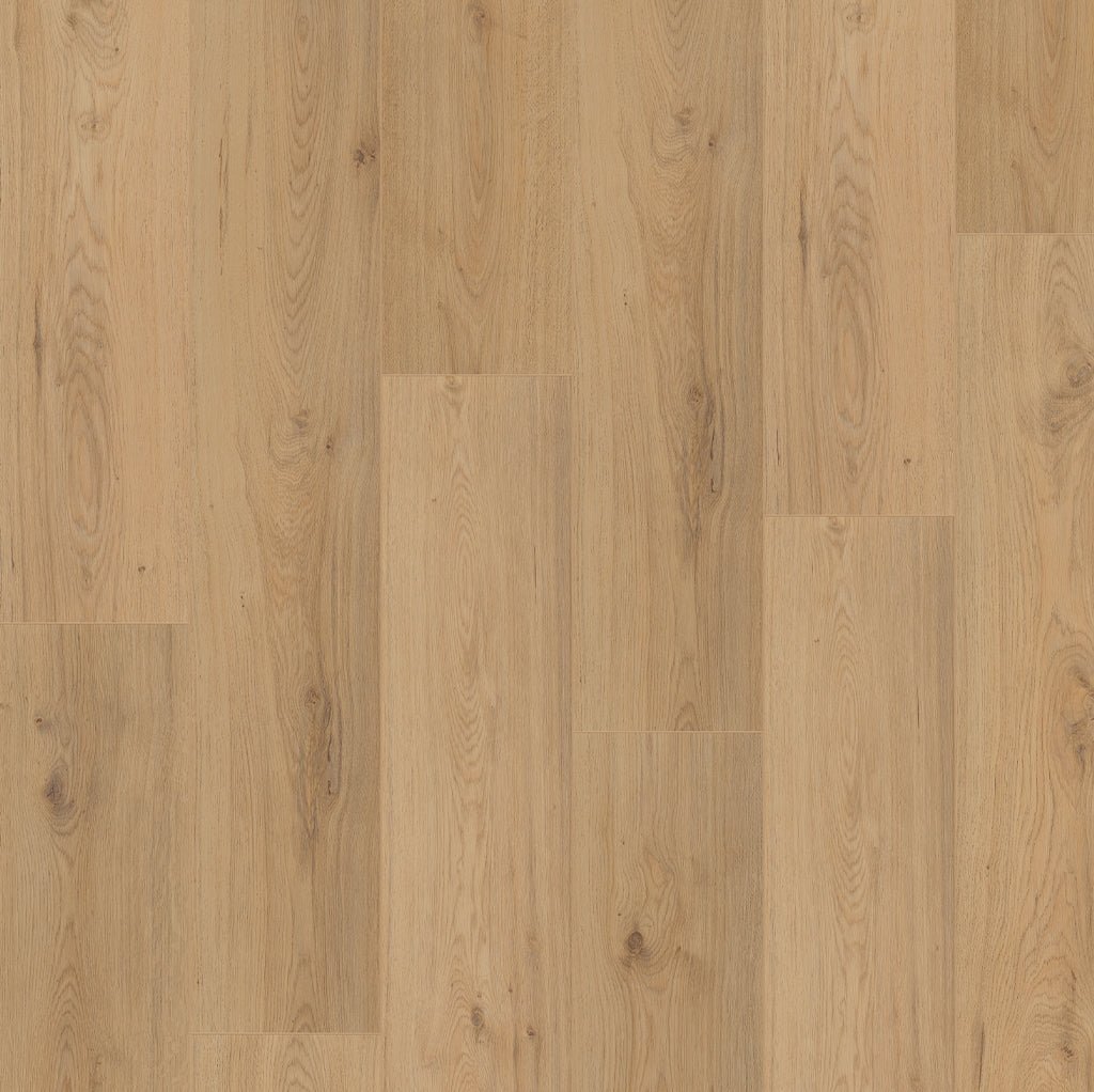 Budgetfloor Laminaat Surprise Millenium Oak SP805 - Solza.nl