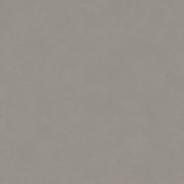 Dilatatieprofiel/Vloerstrip 38mm Minimal Lichtgrijs 40236
