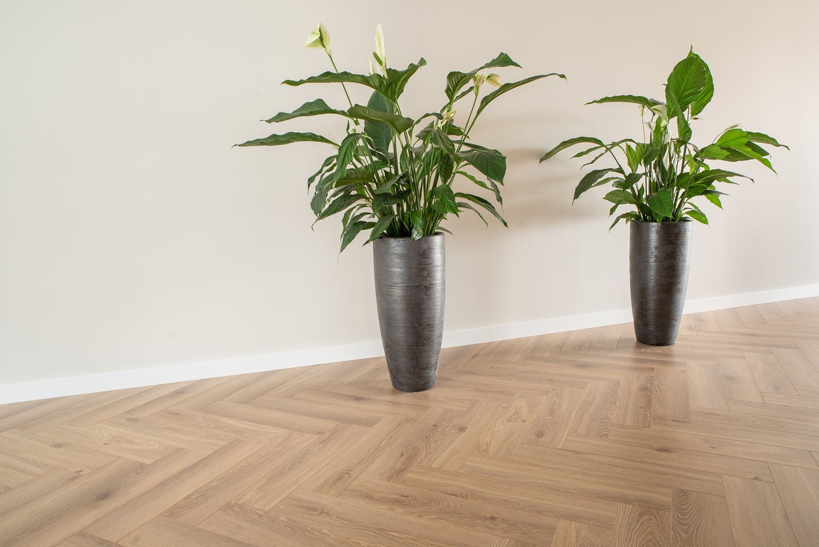 Floer Visgraat Laminaat Natuur Eiken Fastclick - Solza