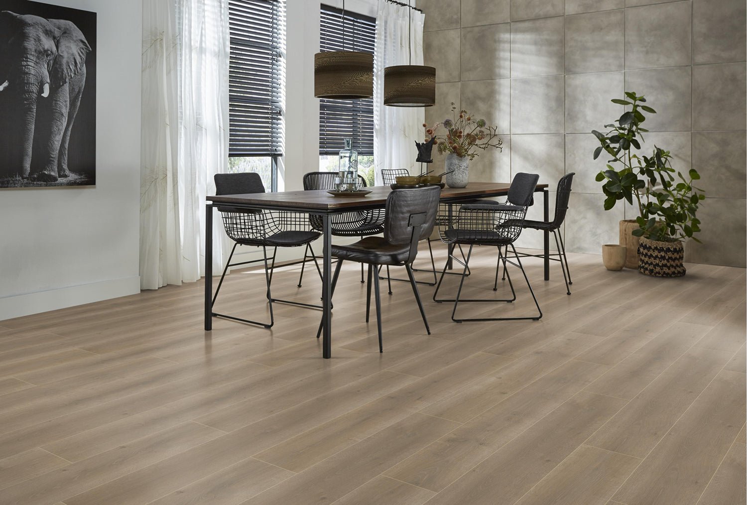 Floorlife Laminaat Houtlook Queens Naturel Bruin Eiken 6402 - Solza.nl