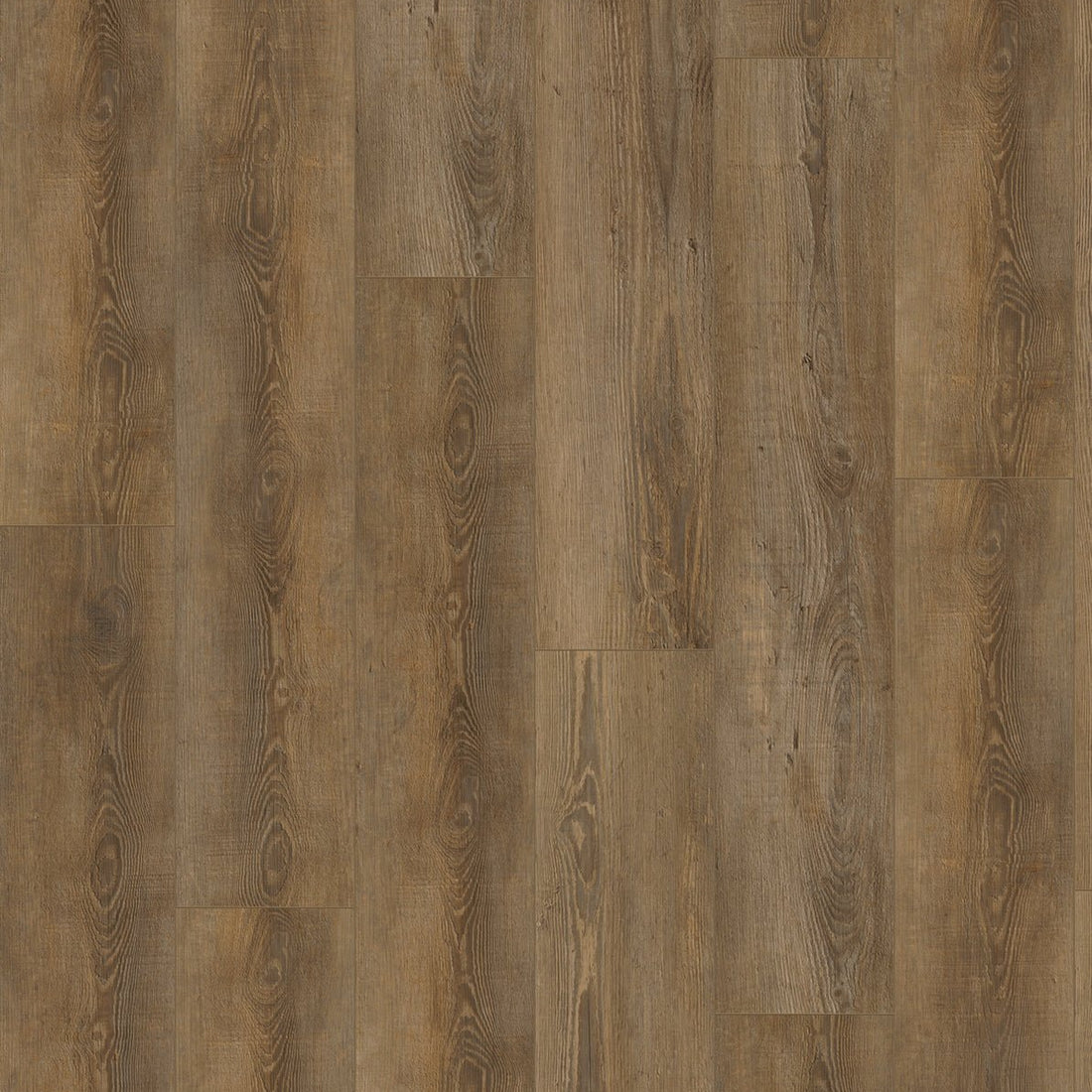 Gelasta City Rigid Click 5604 Olympia Pine Natural - Solza.nl