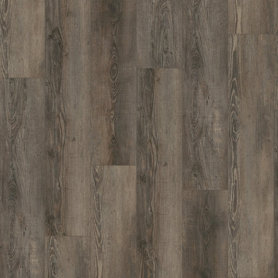 Gelasta City Rigid Click 5605 Olympia Pine Brown - Solza.nl