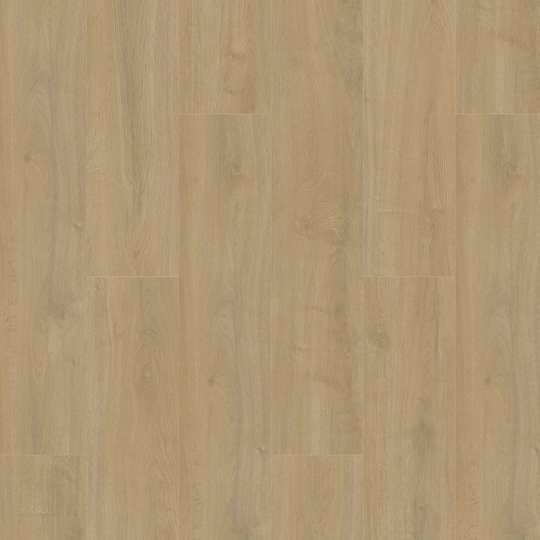 Gelasta Oakland Dryback 6100 Lime - Solza.nl