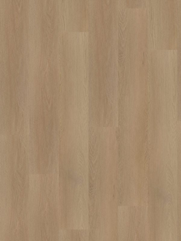 Hoomline Ambassador 55 Maine 5 Dryback PVC - Solza.nl