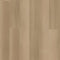 Hoomline Ambassador 55 Vermont 12 Dryback PVC