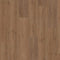 Hoomline Fusion Superior XL 1075131 Gotham Oak Honey Click PVC | Isocore Technology
