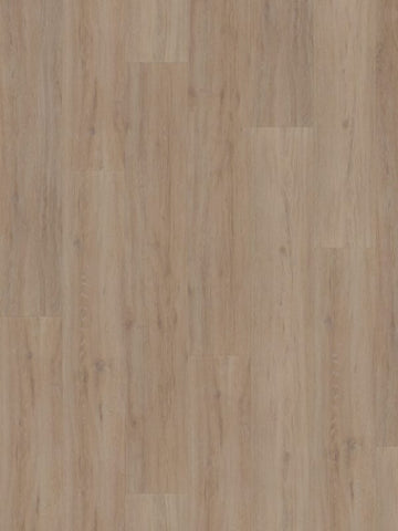 Hoomline Fusion Superior XL 1075137 Gotham Oak Oiled Click PVC | Isocore Technology