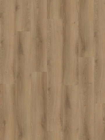 Hoomline Stilleven 10dB Cuyp 826 Click PVC