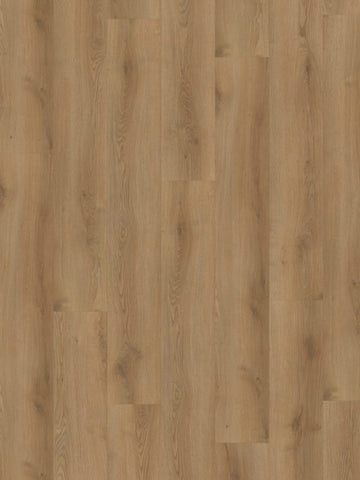 Hoomline Stilleven 10dB Hals 832 Click PVC