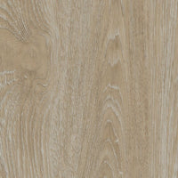 Rozet Zelfklevend 17-55MM Scarlet Oak Beige per 10 stuks 24209 - Solza.nl